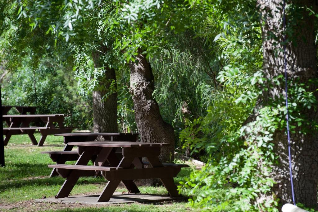 Hotel Adelaide Brownhill Creek Tourist Park Zewnętrze zdjęcie