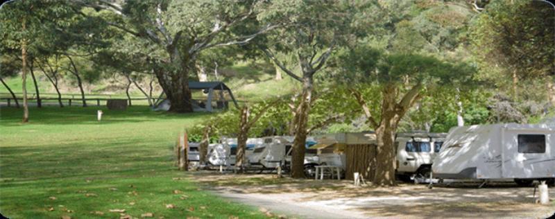Hotel Adelaide Brownhill Creek Tourist Park Zewnętrze zdjęcie